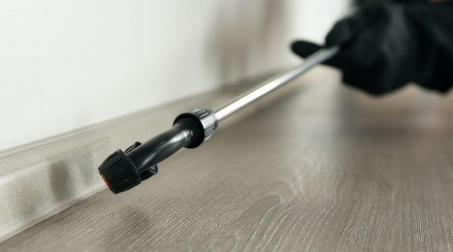 Professional pest control services in Cranbourne, Melbourne